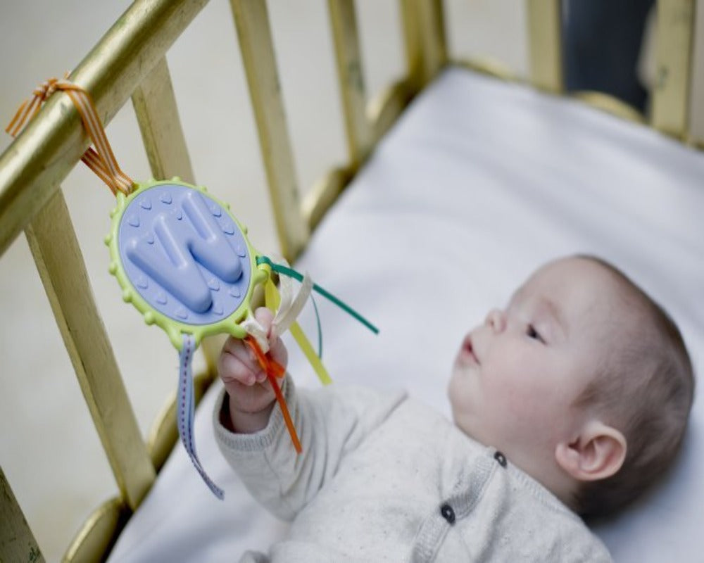 Baby Teething Teether Rattle Shaker - Letter W