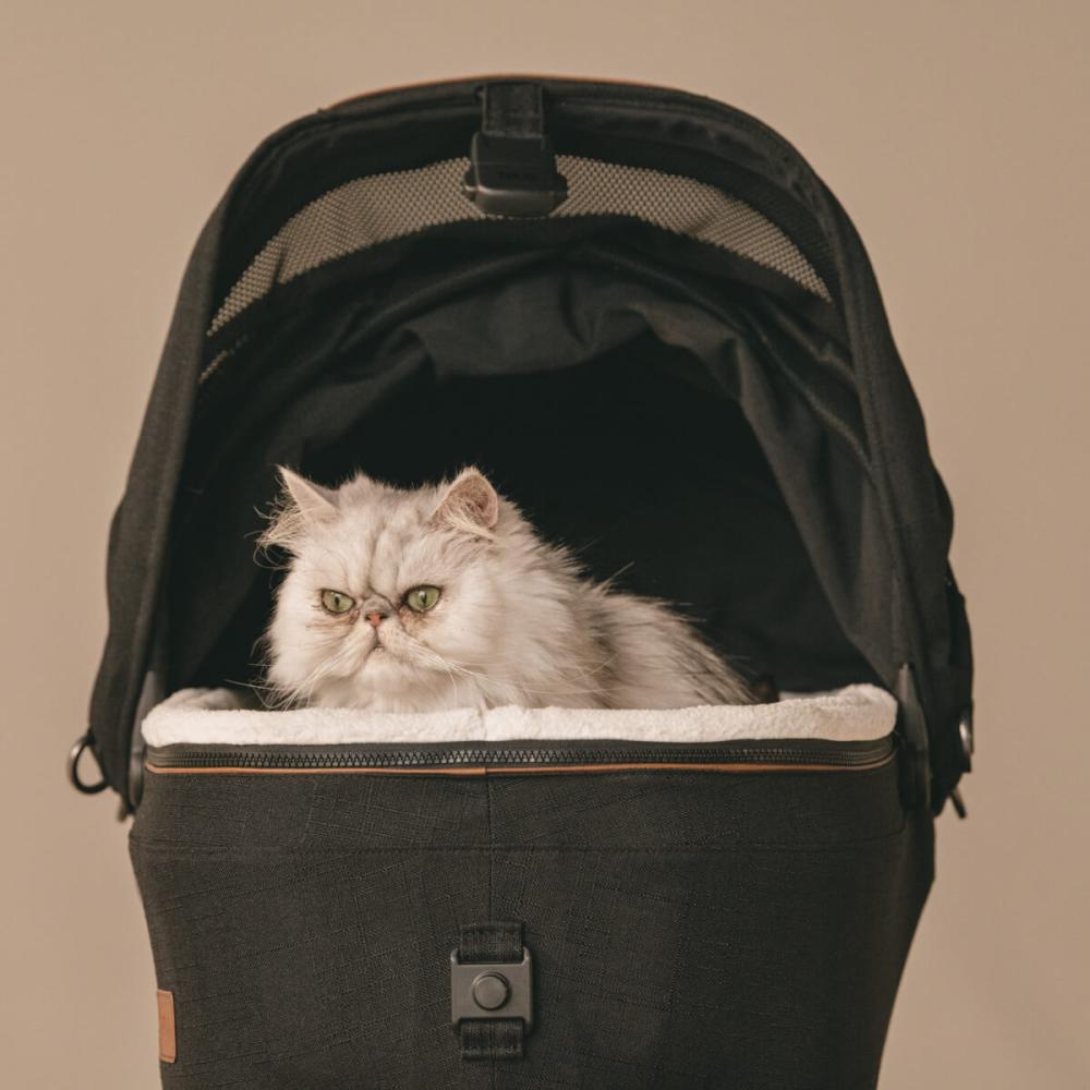 Pets Essentials