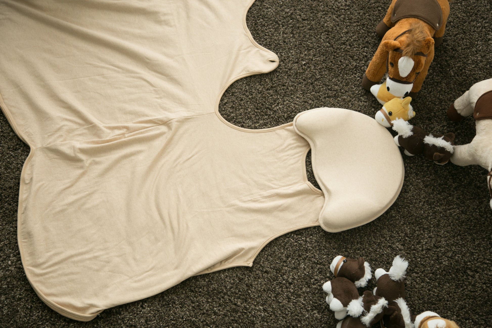 Sleeping Bag