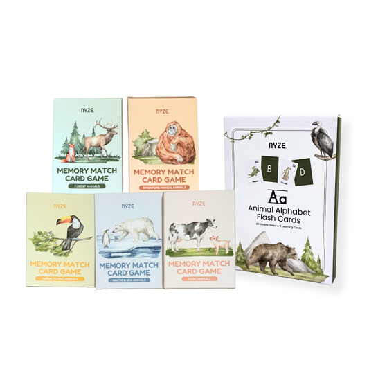 Early Learning Alphabet Flash Cards & Memory Card Game Bundle