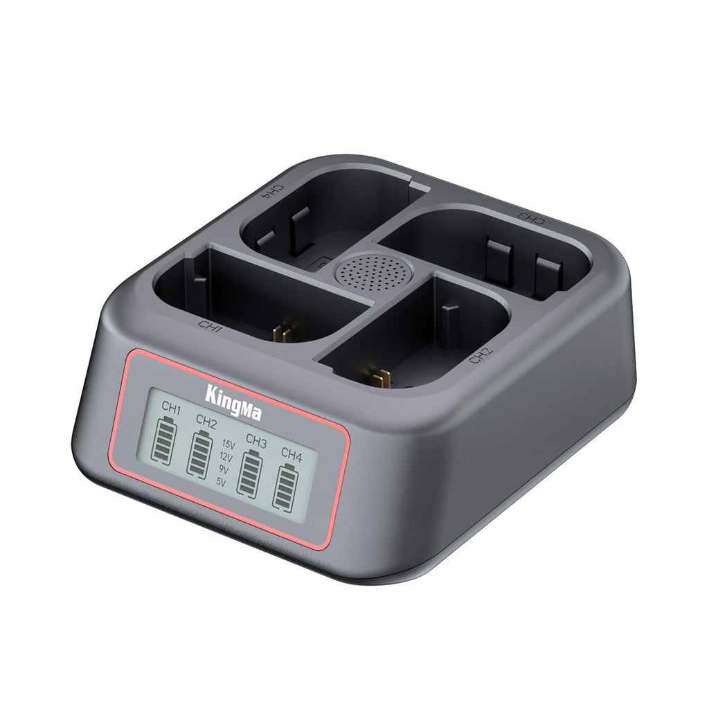 4-Slot Fast Charger for Canon LP-E6 Series Battery