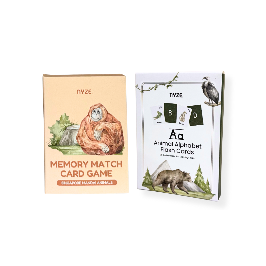 Early Learning Alphabet Flash Cards & Memory Card Game Bundle