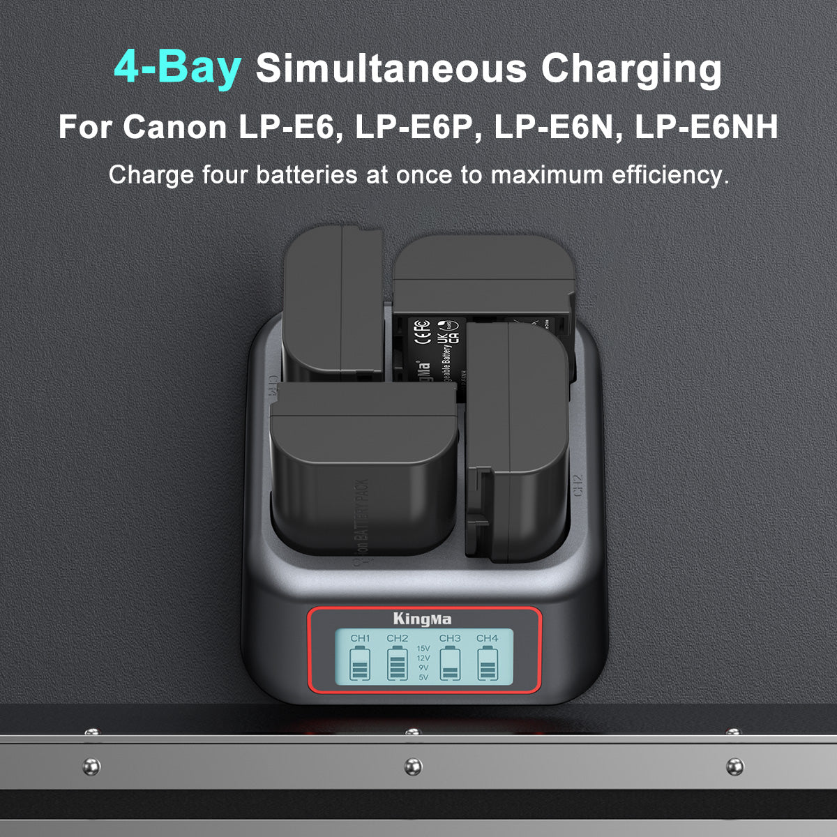 4-Slot Fast Charger for Canon LP-E6 Series Battery