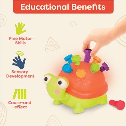 Teaching Turtle Counting Pegs