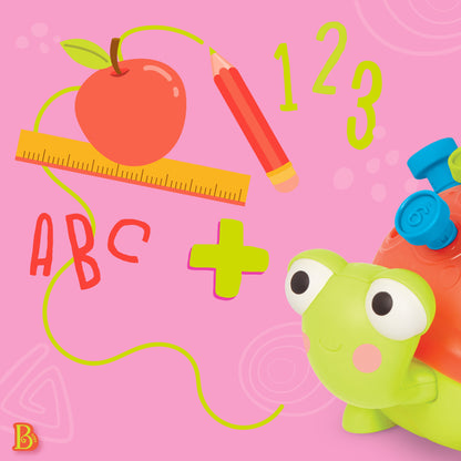 Teaching Turtle Counting Pegs