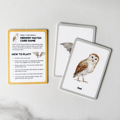 Early Learning Alphabet Flash Cards & Memory Card Game Bundle