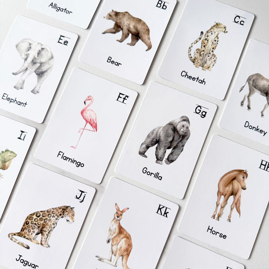 A-Z Animal Alphabet Learning Flash Cards