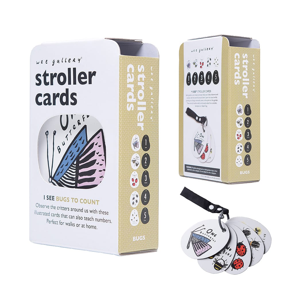 I See Bugs To Count Stroller Cards