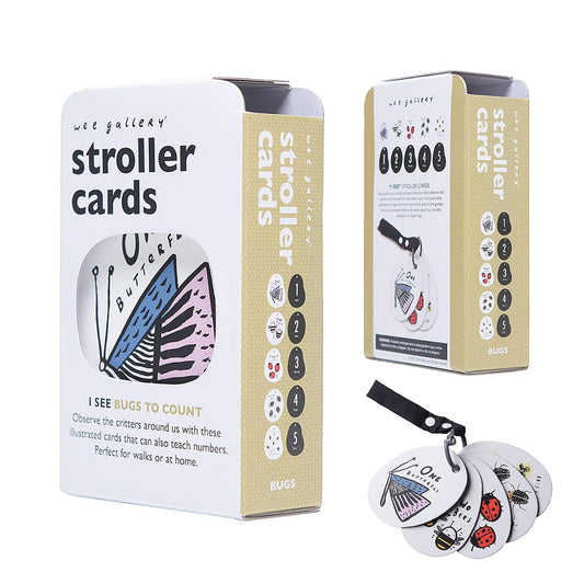 I See Bugs To Count Stroller Cards