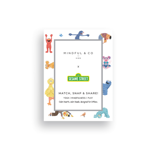 Sesame Street 3-in-1 Card Game