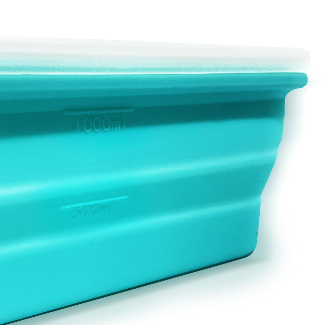 Silicone Food Container & Foodie Bag - Bundle Set