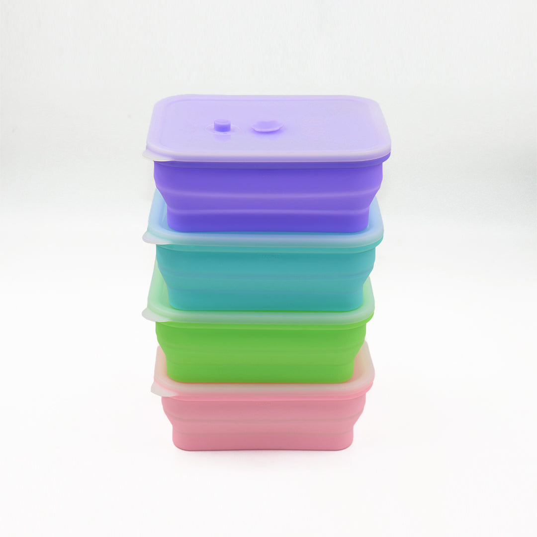 Silicone Food Container & Foodie Bag - Bundle Set