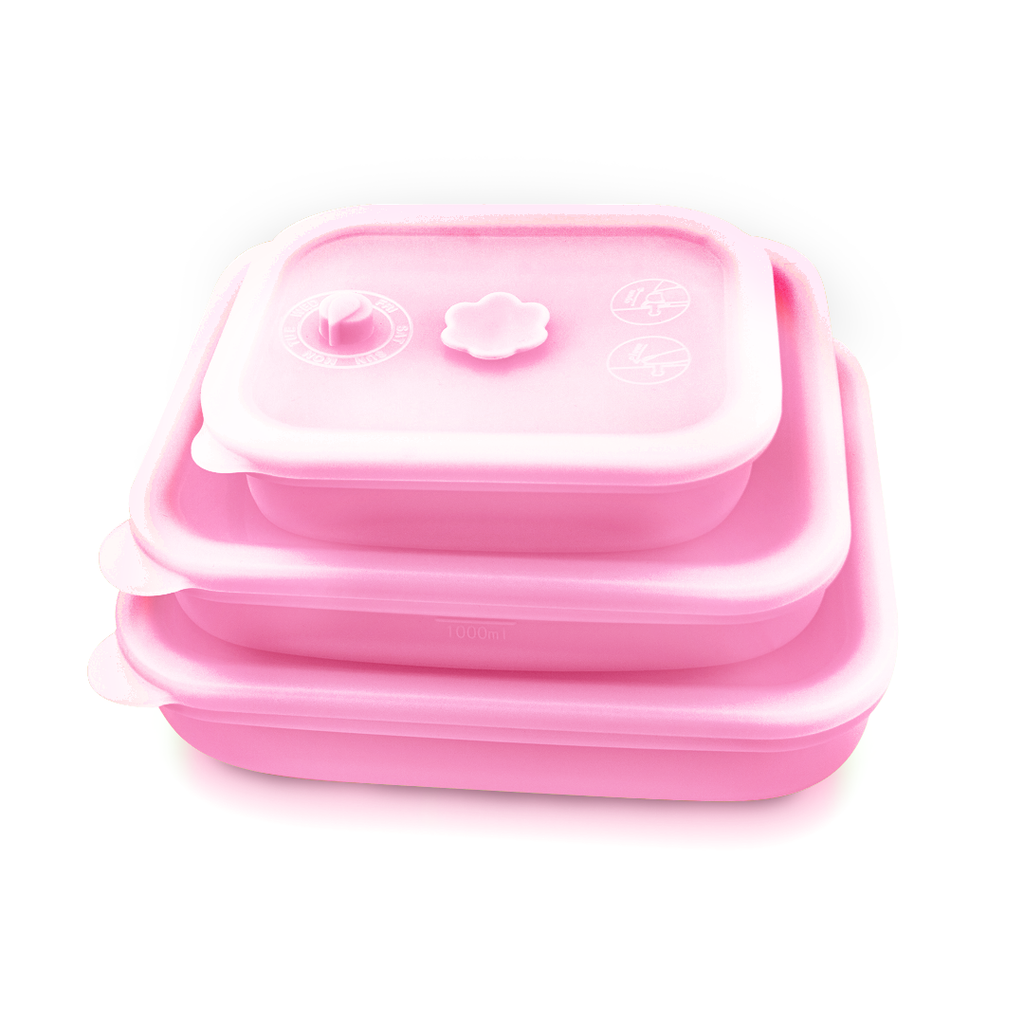 Silicone Food Container & Foodie Bag - Bundle Set