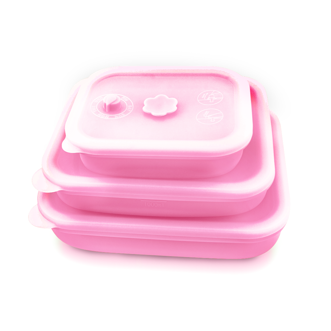 Silicone Food Container & Foodie Bag - Bundle Set