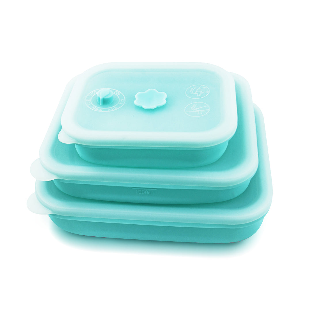 Silicone Food Container & Foodie Bag - Bundle Set