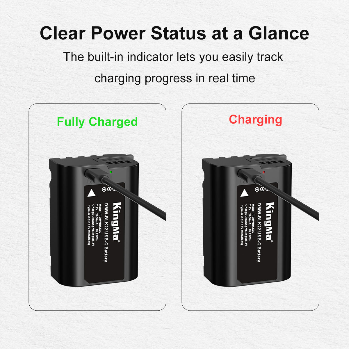 DMW-BLK22 Replacement Battery 2600mAh with Type-C Charging Port for Panasonic Cameras