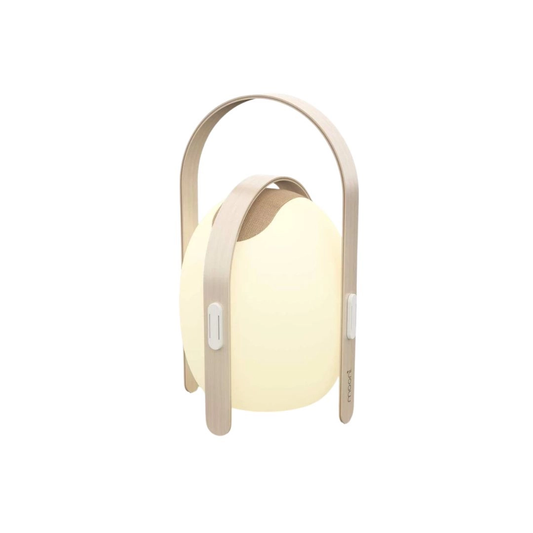 OVO Mini LED Speaker