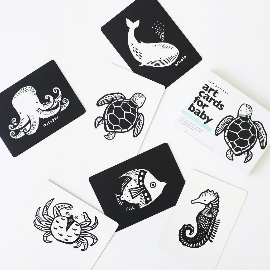 Art Cards for Baby - Ocean Animals